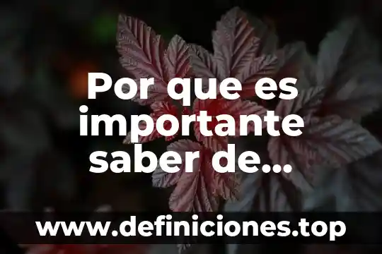 Como saber que es una limitacion de un proyecto 6 Por que es importante saber de eventos del pasado