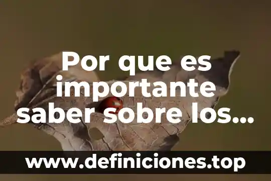 Que es inclusion segun la unesco 8 Por que es importante saber sobre los puntos de unesco