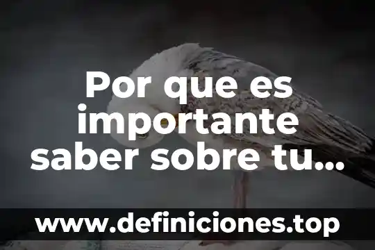 Por que es importante saber sobre tu pareja