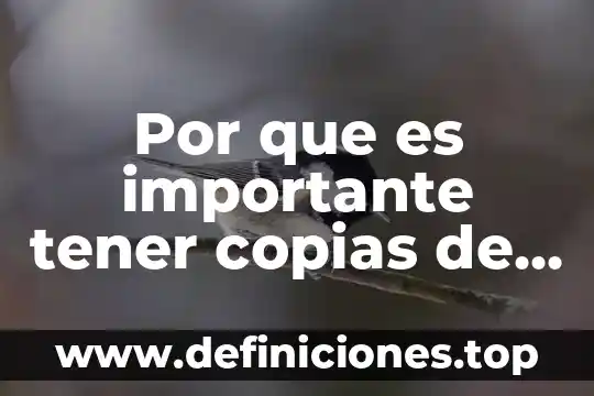 Por que es importante tener copias de seguridad