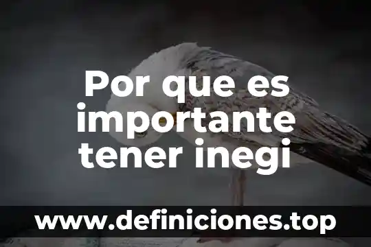 Que es tener problema enzimatico 6 Por que es importante tener inegi