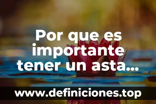 Que es tener problema enzimatico 3 Por que es importante tener un asta bandera