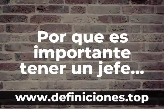 Por que es importante tener un jefe en la empresa