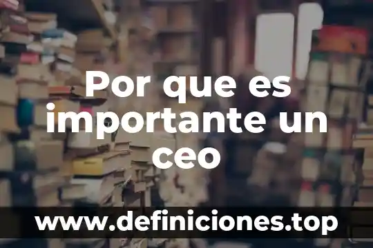 Por que es importante un ceo