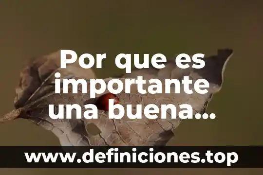 Qué es tener una dieta saludable 6 Por que es importante una buena dieta y una hidratación