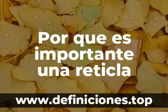 Por que es importante una reticla