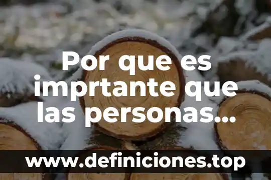 Libro mayores auxiliares que es en contabilidad 6 Por que es imprtante que las personas mayores viajesn