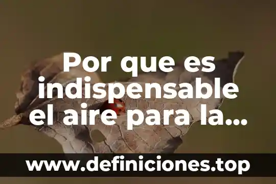 Por que es indispensable el aire para la vida