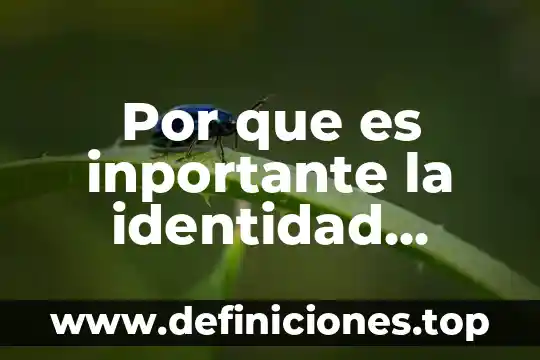 Qué es política económica de un país 5 Por que es inportante la identidad nacional de un pais