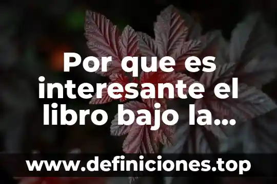 Por que es interesante el libro bajo la mismo estrella