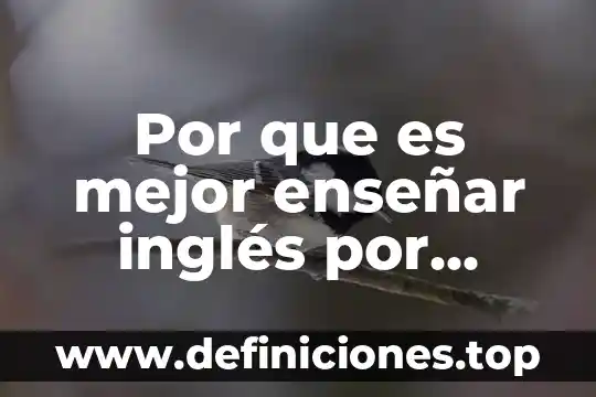 Qué es un niveles de atención en enfermeria 6 Por que es mejor enseñar inglés por niveles