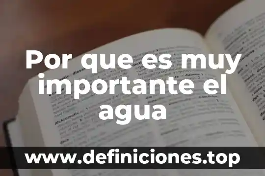 Por que es muy importante el agua