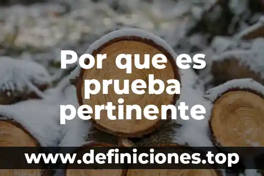 Que es recurrir una prueba 7 Por que es prueba pertinente