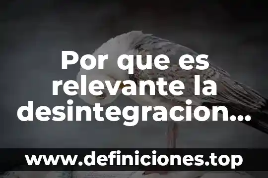 Que es parentesco familiar 4 Por que es relevante la desintegracion familiar