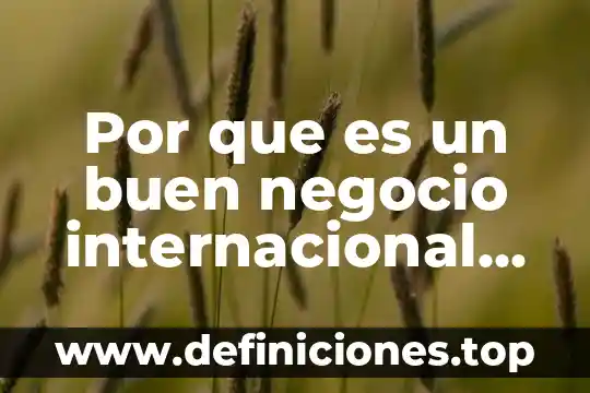Por que es un buen negocio internacional el limon persa