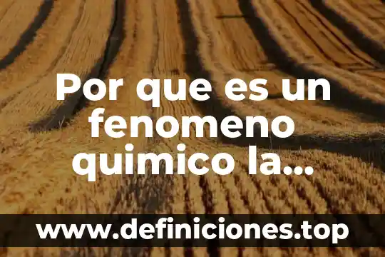 Químico biotecnólogo que es 4 Por que es un fenomeno quimico la combustion