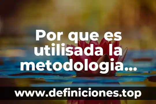 Por que es utilisada la metodologia orientada a objetos