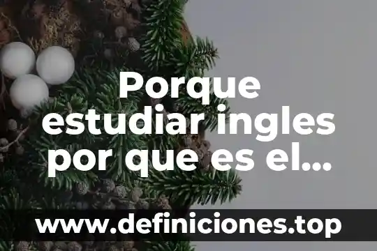 Si estudias derecho que es mejor estudiar 8 Porque estudiar ingles por que es el idioma universal