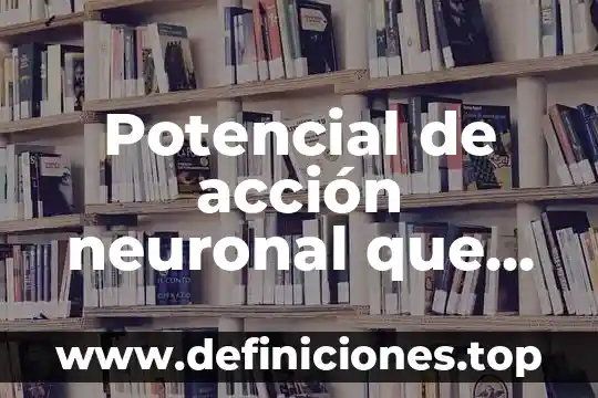 Qué es célula neuronal 3 Potencial de acción neuronal que es