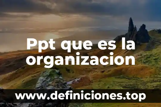 Ppt que es la organizacion