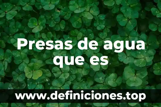 Qué es correcto pila de agua o tanque de agua 4 Presas de agua que es