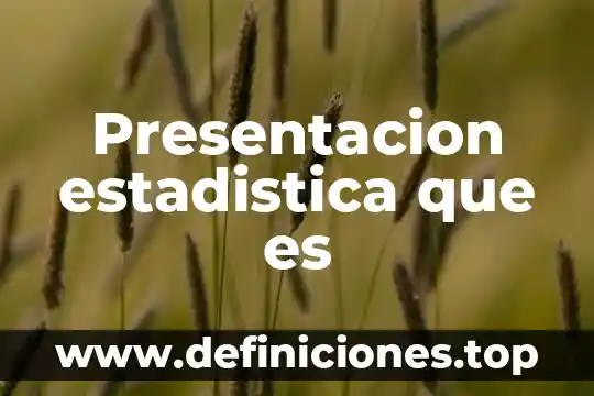 Presentacion estadistica que es