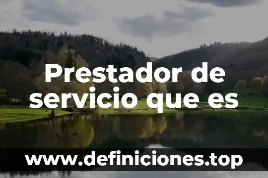 Qué es el hst de servicio 8 Prestador de servicio que es