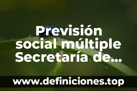 Qué es caja de previsión social 3 Previsión social múltiple Secretaría de Salud que es