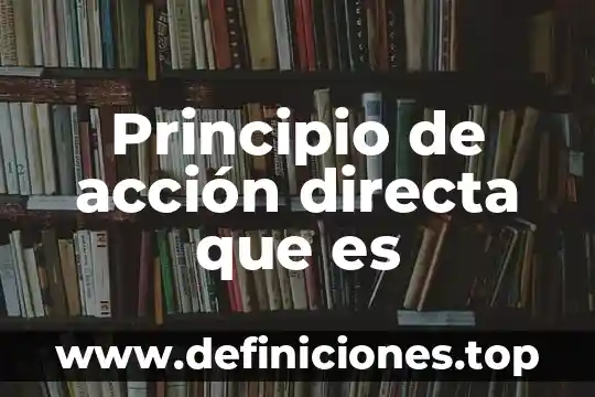 Principio de acción directa que es