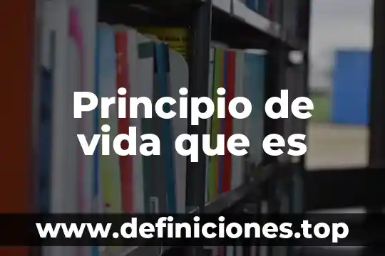 Principio de vida que es