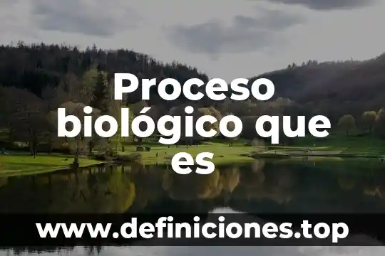 Que es el interperismo quimico fisico biologico 6 Proceso biológico que es