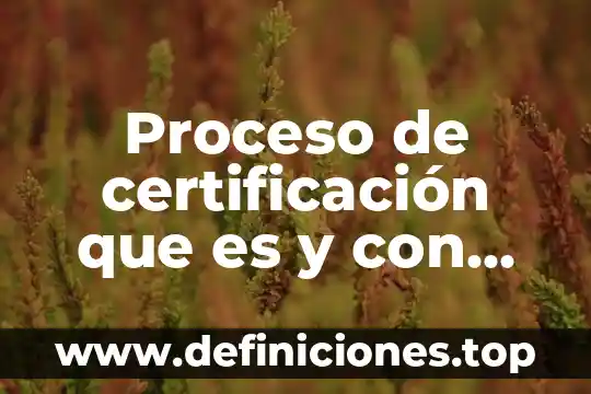Que es programa ofimatico 6 Proceso de certificación que es y con que metodología