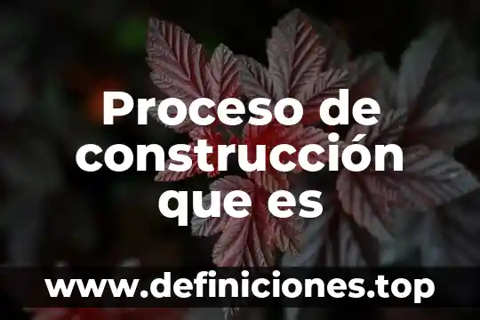 Proceso de construcción que es
