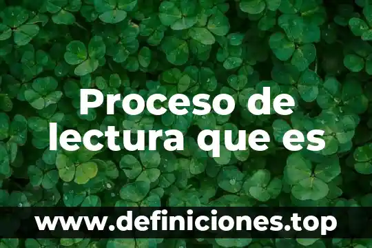 Que es sla lectura y sus tipos 3 Proceso de lectura que es