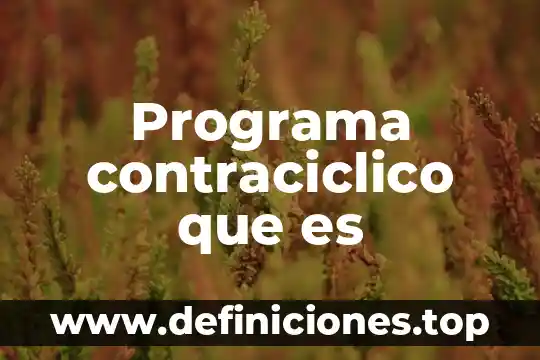 Programa contraciclico que es