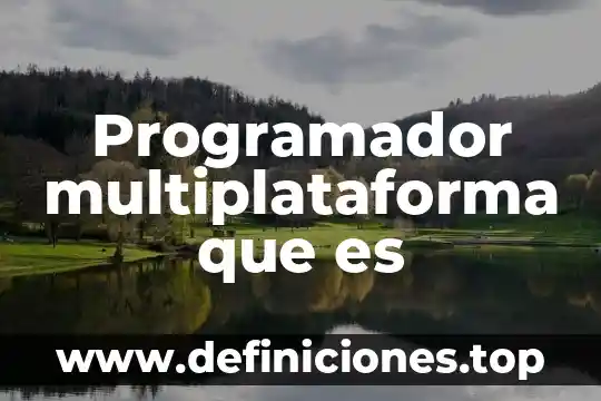 A qué es equivalente un watts 6 Programador multiplataforma que es