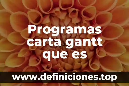 Que es una carta de intención no vinculativa 5 Programas carta gantt que es