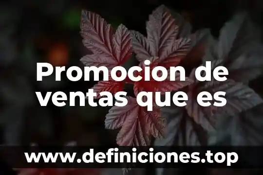 Conocimiento erp de ventas que es 5 Promocion de ventas que es