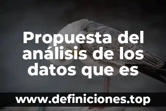 Que es un propuesta de valor para un discapacitado 4 Propuesta del análisis de los datos que es