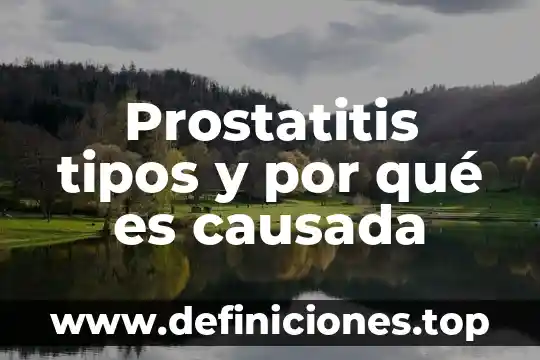Prostatitis tipos y por qué es causada