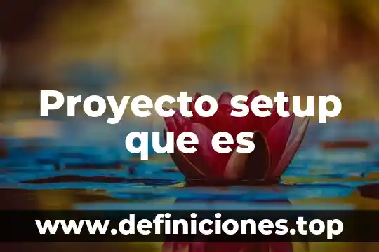 En software que es setup 7 Proyecto setup que es