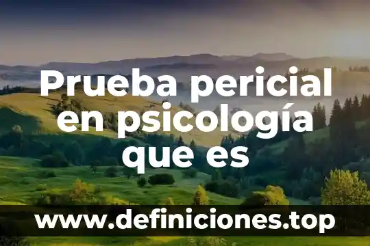 Prueba pericial en psicología que es