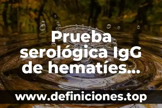 Prueba serológica IgG de hematíes que es