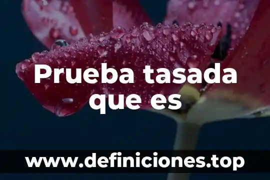Que es justificara doble espacio 4 Prueba tasada que es