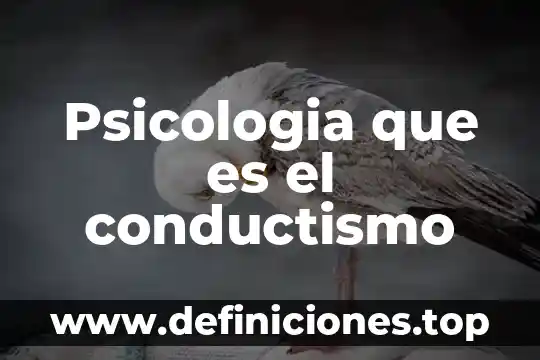 Que es el conductismo teoria del aprendizaje 3 Psicologia que es el conductismo