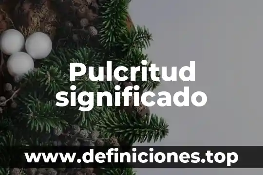 Que es significado y sognificante 4 Pulcritud significado