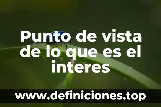 Punto de vista de lo que es el interes