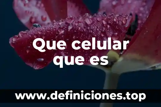 Que celular que es