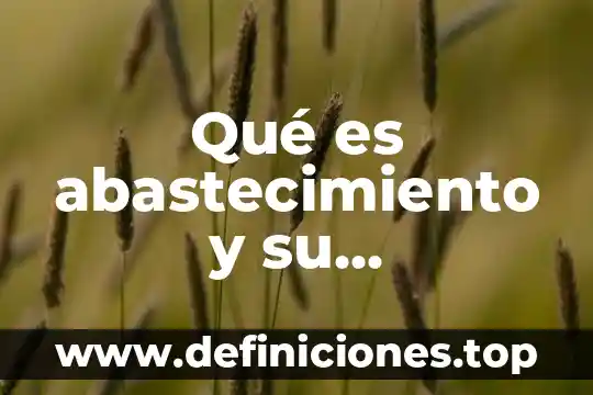 Qué es abastecimiento y su importancia
