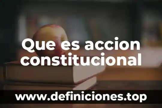 Que es el sistema de control constitucional 8 Que es accion constitucional